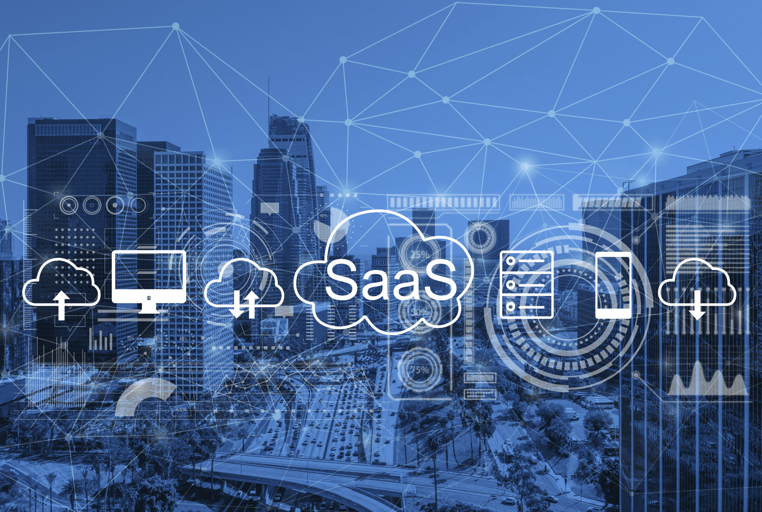 SaaS Development
